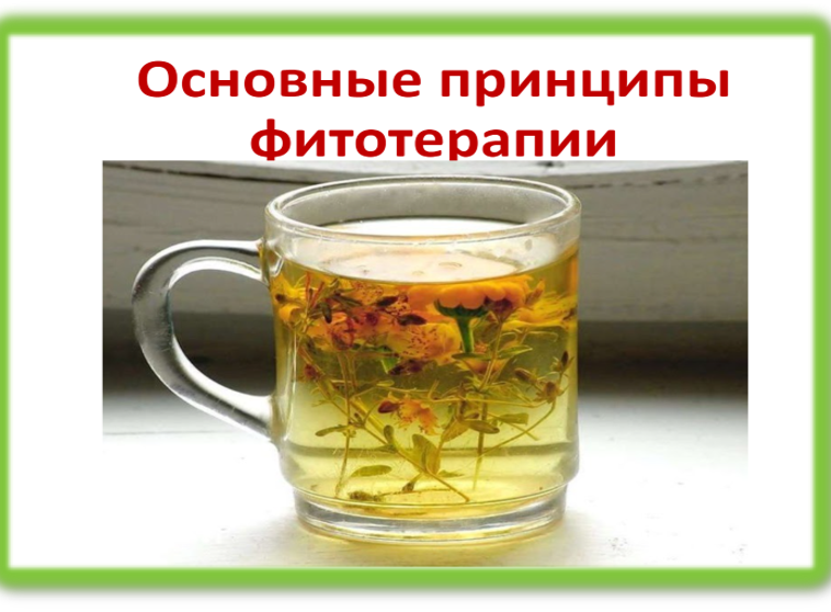 Lecture 7. Basic principles of herbal medicine